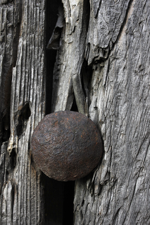 Bolt in Wood