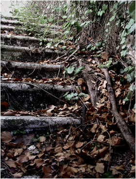 Architectual Photography - Steps to Nowhere